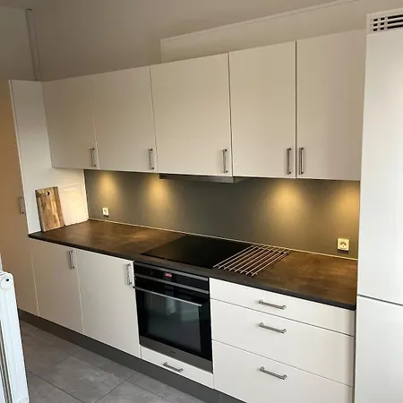Hyggelig Taet Pa Centrum Og Letbanestop Apartment *