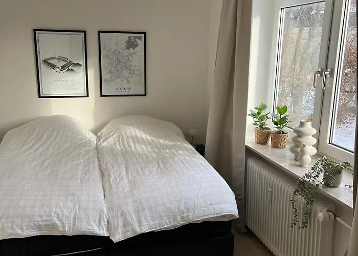 Hyggelig Taet Pa Centrum Og Letbanestop * Odense